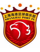 湖北青年星U20