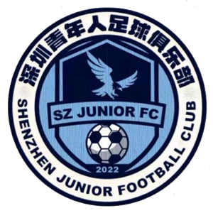 深圳新鵬城